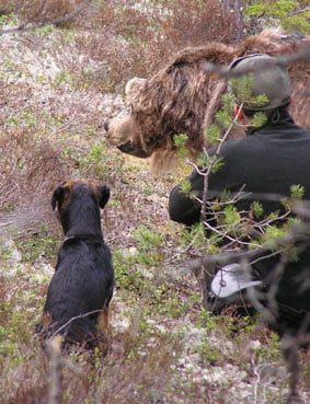 Hunting Assistance AB