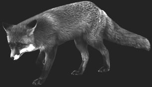 Hunting Assistance AB