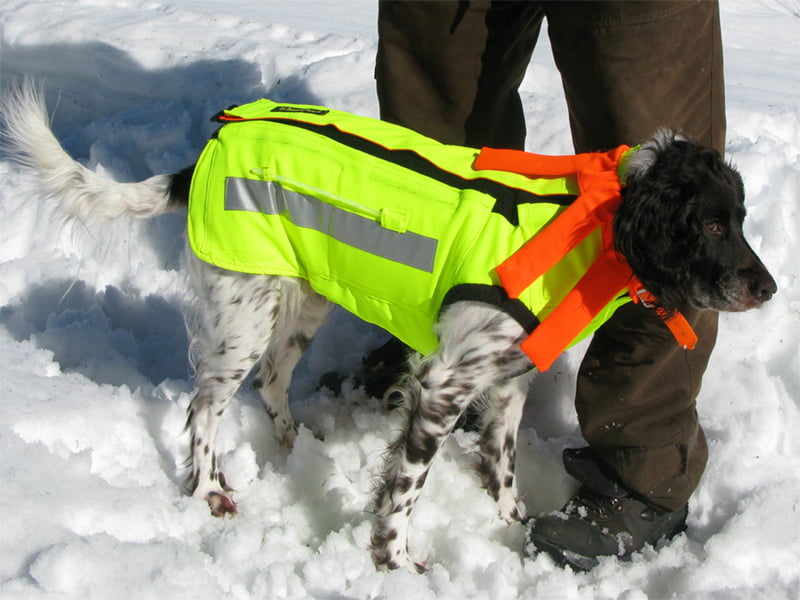 Hunting Assistance AB