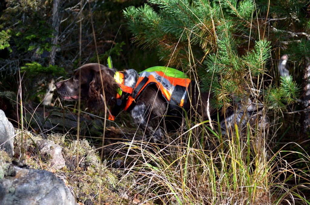 Hunting Assistance AB
