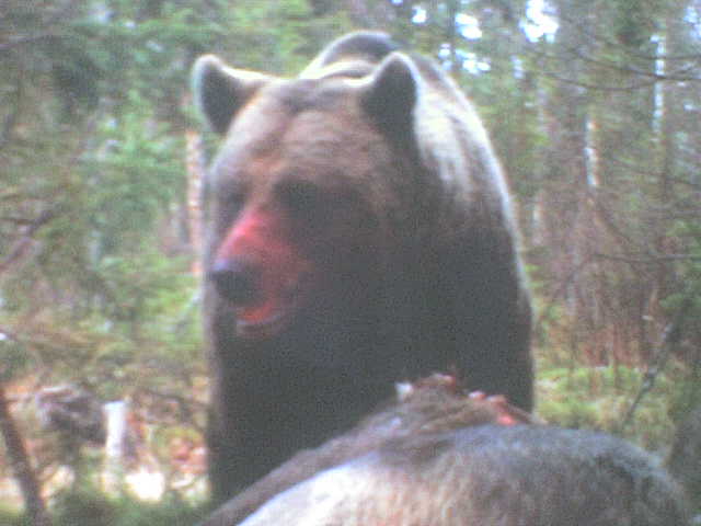 Hunting Assistance AB