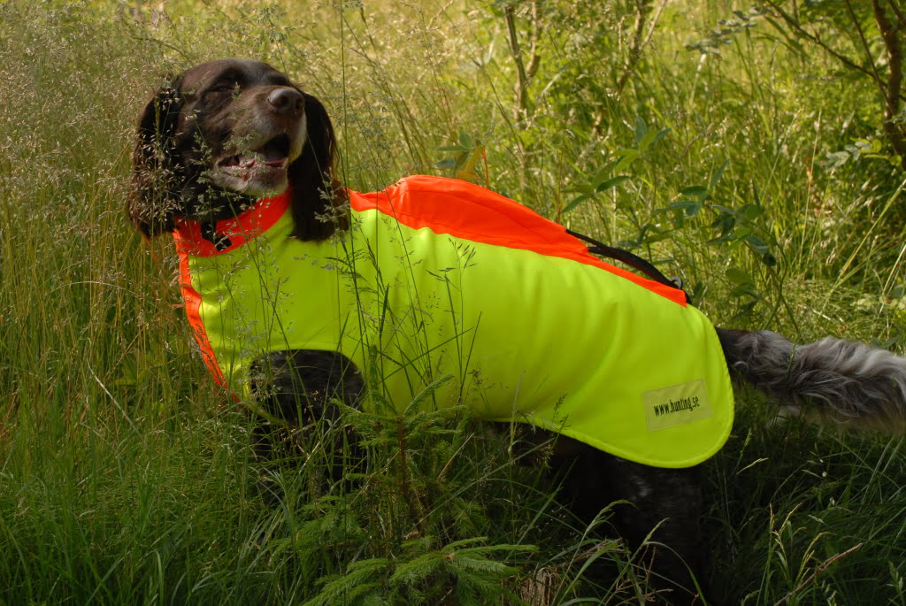 Hunting Assistance AB