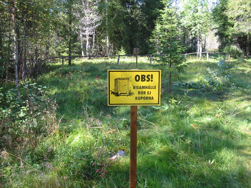 Hunting Assistance AB