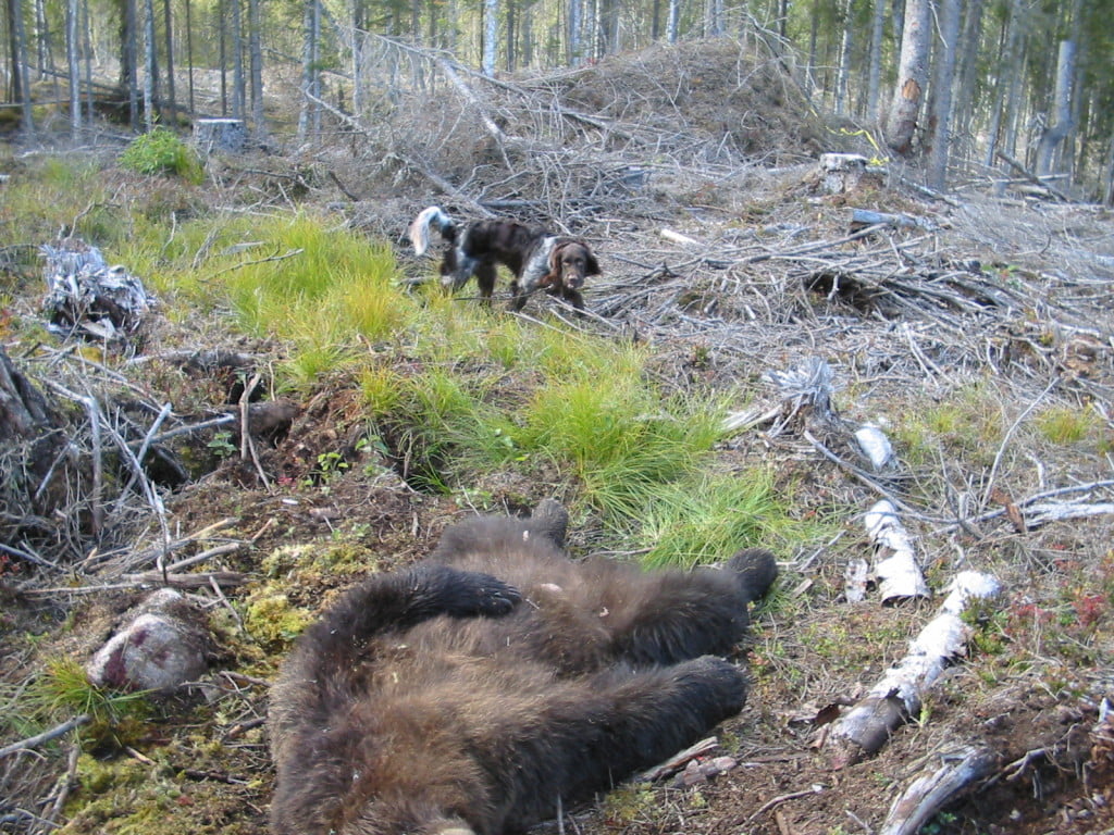 Hunting Assistance AB