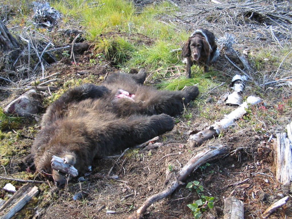 Hunting Assistance AB