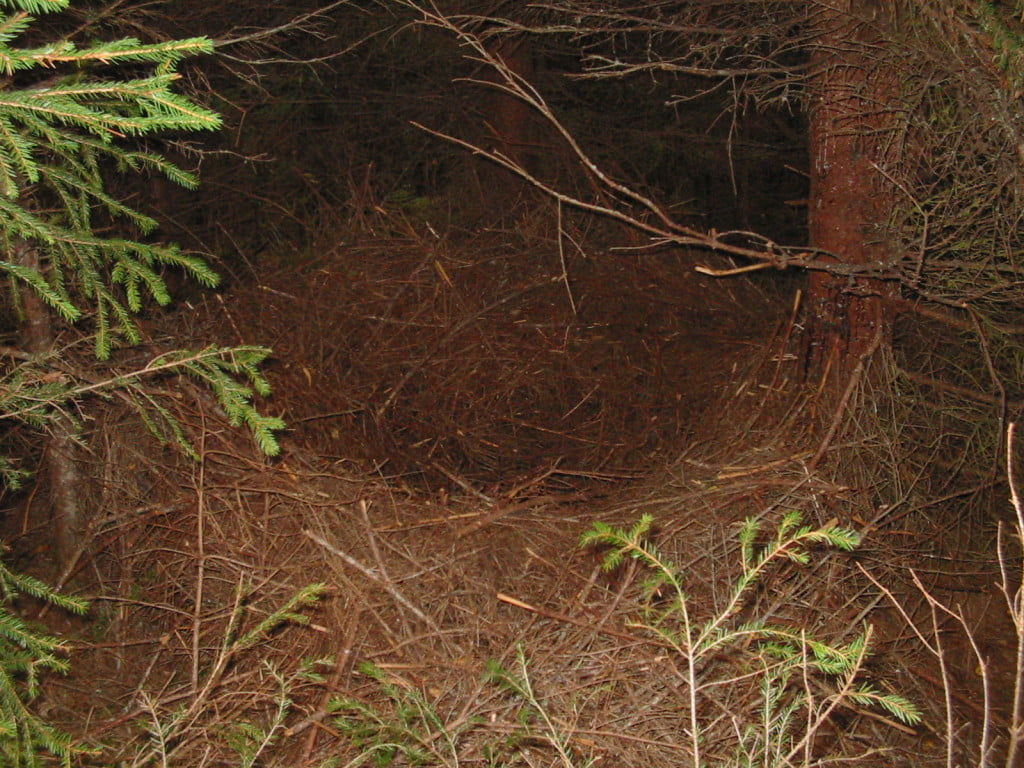Hunting Assistance AB