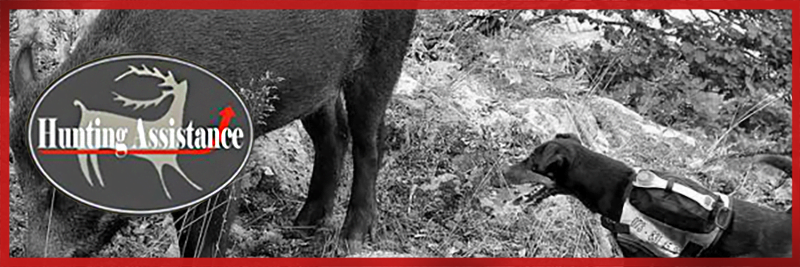 Hunting Assistance AB
