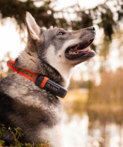 Tracker Luna