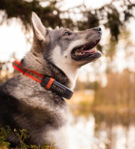 Tracker Luna